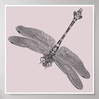 Dragonfly Poster