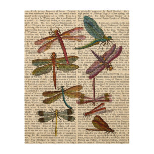 Dragonfly Print 4