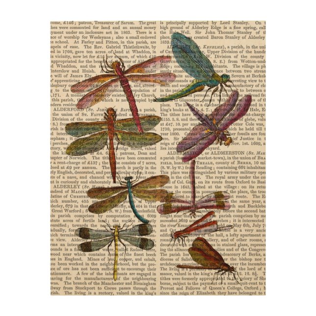 Dragonfly Print 4 (Front)