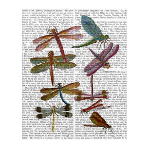 Dragonfly Print 4 Acrylic Print