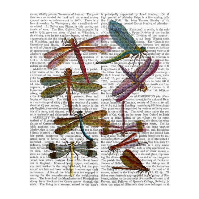 Dragonfly Print 4 Acrylic Print (Front)