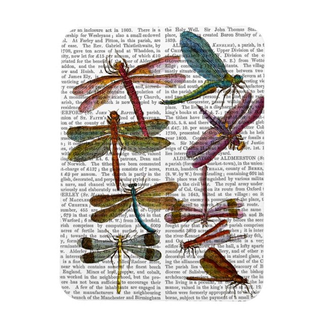 Dragonfly Print 4 Magnet (Vertical)