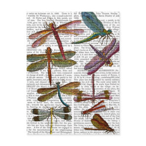 Dragonfly Print 4 Postcard