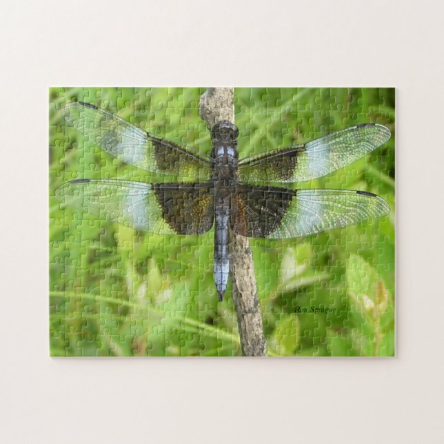 Dragonfly Puzzle (Horizontal)