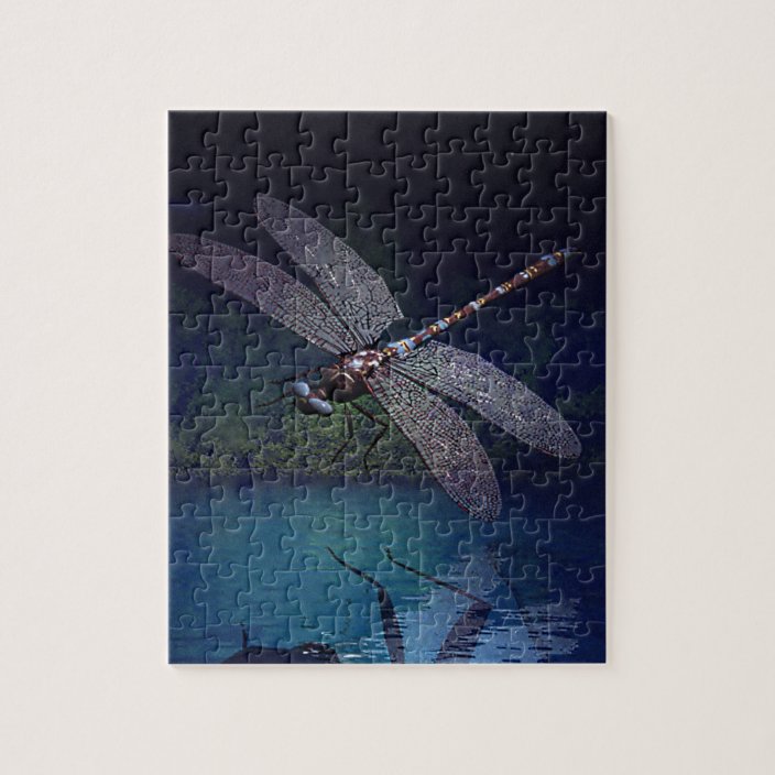 Dragonfly Reflections Jigsaw Puzzle
