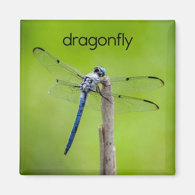 Dragonfly Refrigerator Magnet (Front)