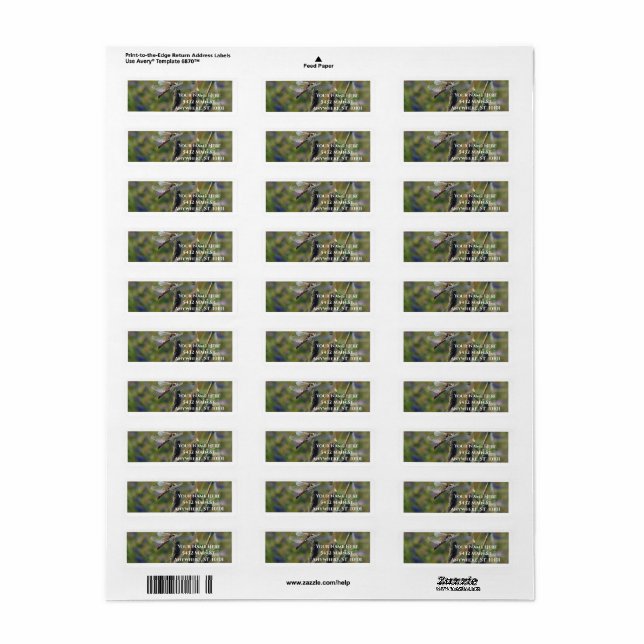 Dragonfly Return Address Label (Full Sheet)