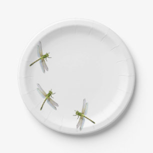Dragonfly’s Paper Plates