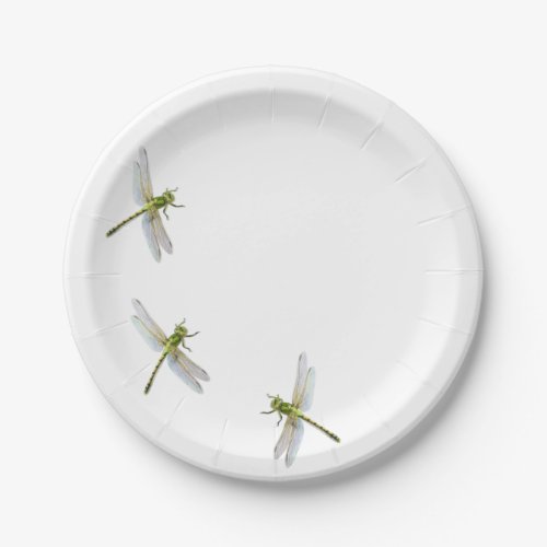 Dragonflys Paper Plates