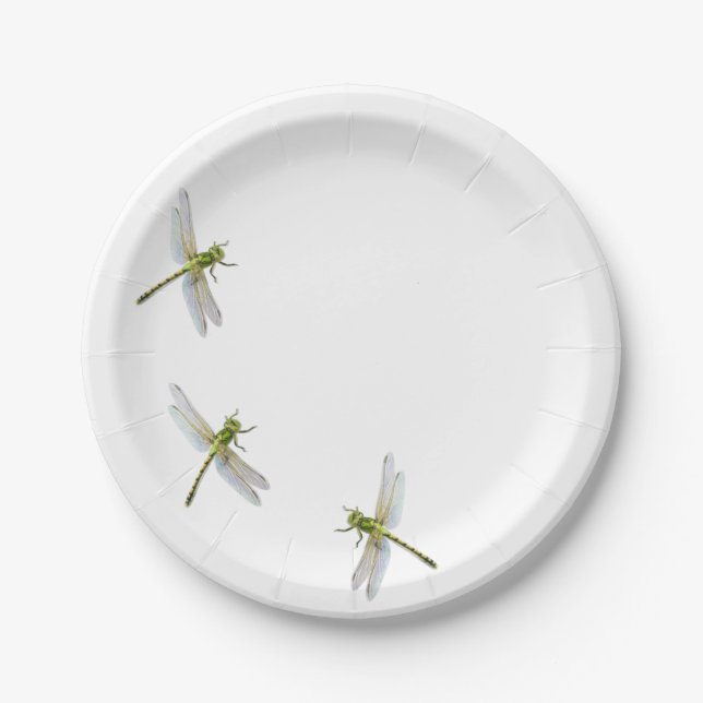 Dragonfly’s Paper Plates (Front)