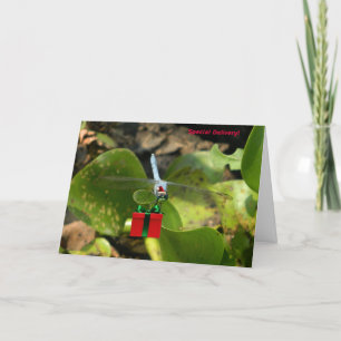 Dragonfly Santa Holiday Card
