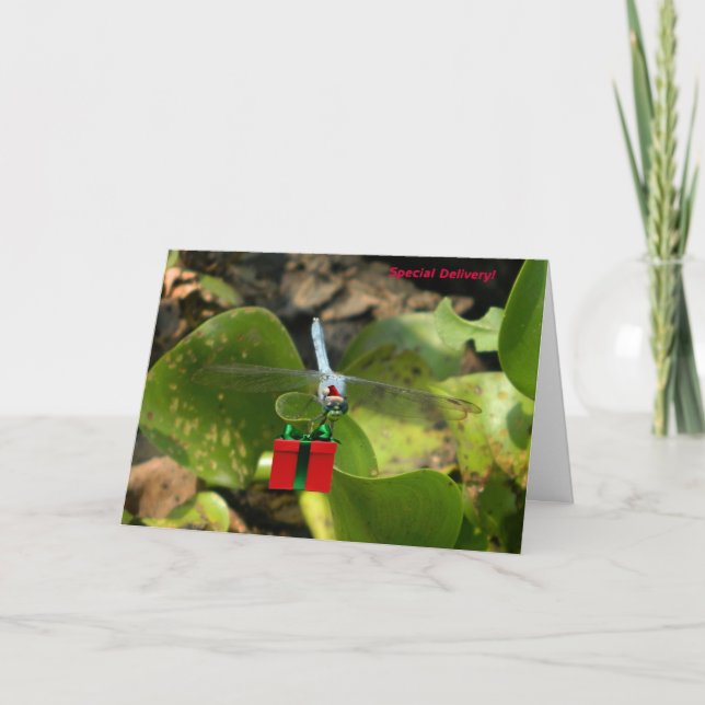 Dragonfly Santa Holiday Card (Front)