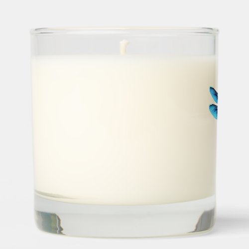 dragonfly                  scented candle