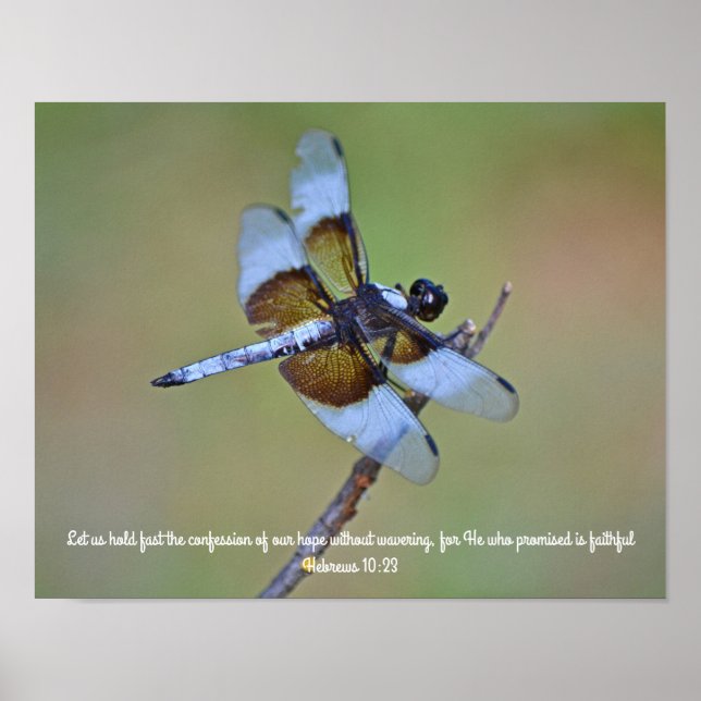 Dragonfly Scripture Photographic Art Print (Front)