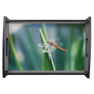 Dragonfly Serving Tray