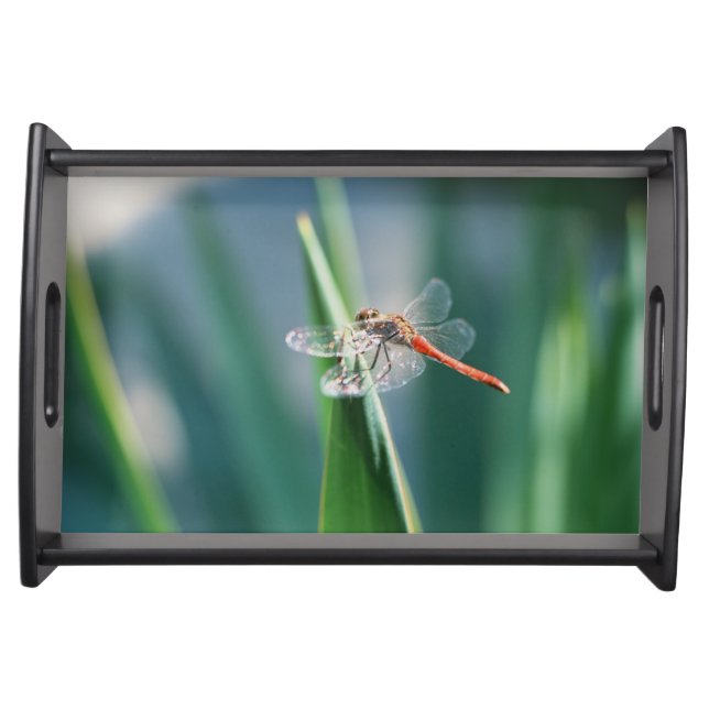 Dragonfly Serving Tray (Front)