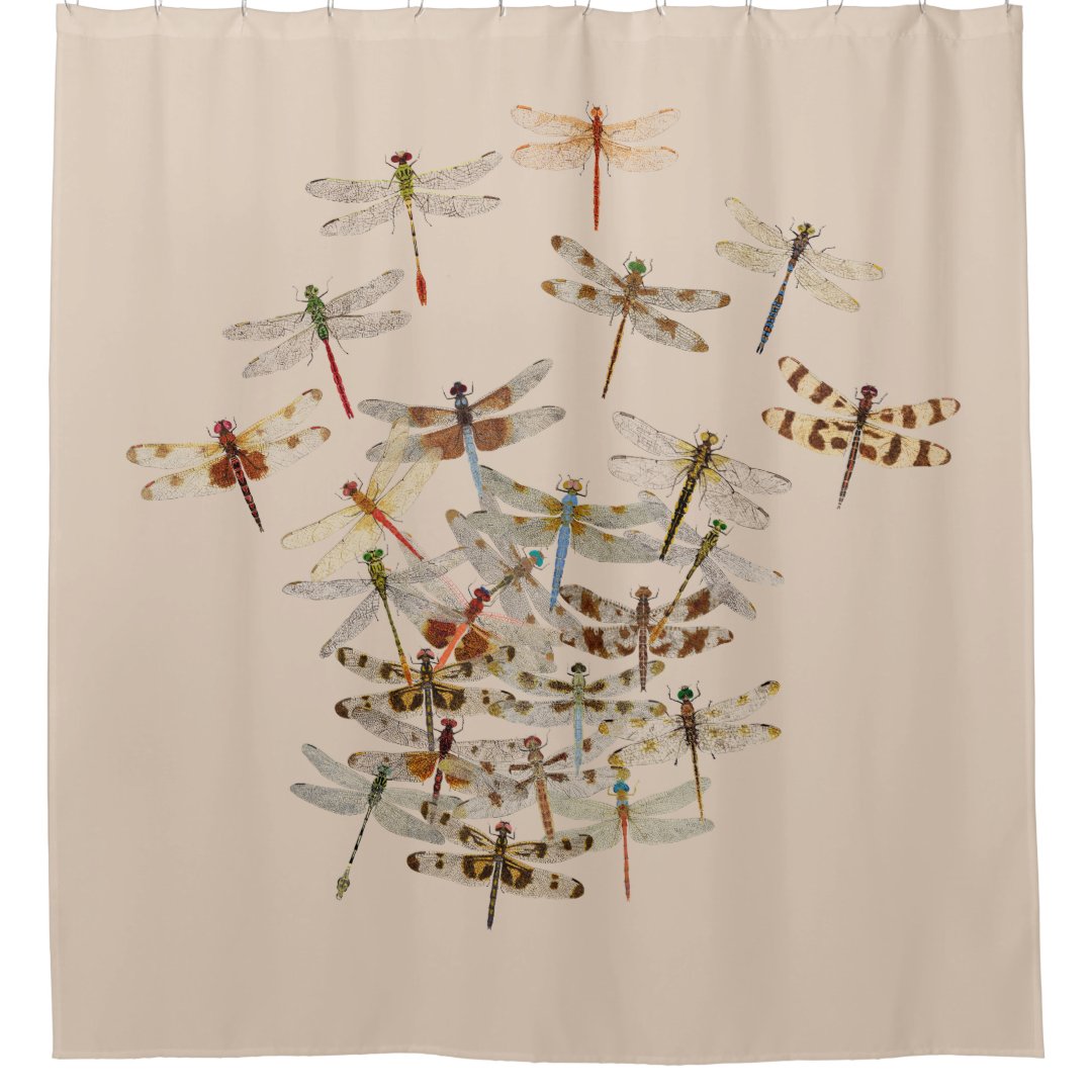 Dragonfly Shower Curtain Zazzle