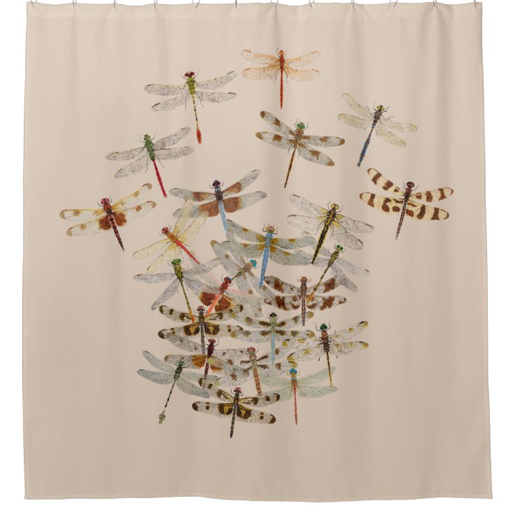 Dragonfly Shower Curtain Zazzle