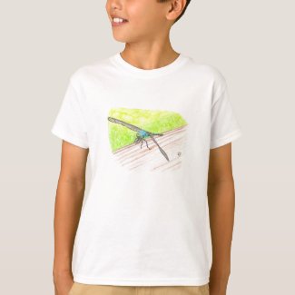 Dragonfly sitting on a rail, in watercolor tees