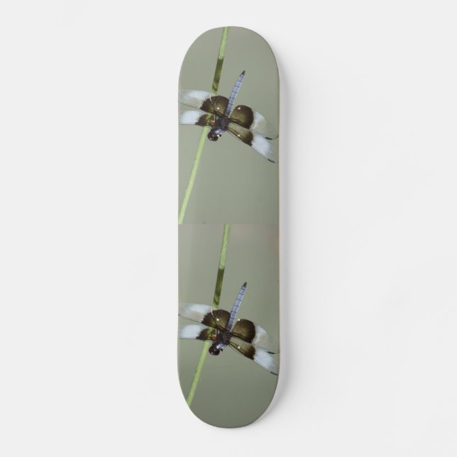 Dragonfly Skateboard Deck (Front)