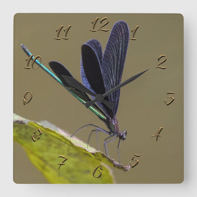 Dragonfly Square Wall Clock (Front)