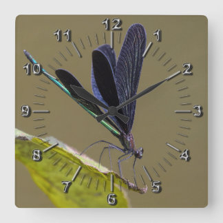 Dragonfly Square Wall Clock