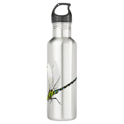 Dragonfly                          stainless steel water bottle
