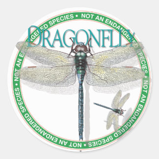 Dragonfly Sticker