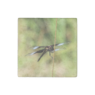 Dragonfly Stone Magnet
