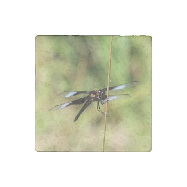 Dragonfly Stone Magnet (Front)