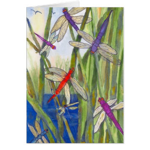 Dragonfly Summer Cards