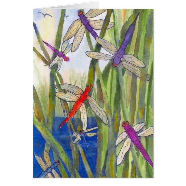 Dragonfly Summer Cards (Front)