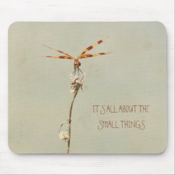 Dragonfly Summer Mouse Pad by camcguire at Zazzle