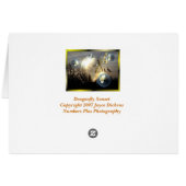 Dragonfly Sunset Cards (Back Horizontal)