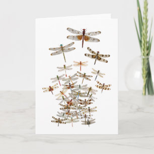 Dragonfly Swarming Card
