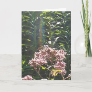 dragonfly sympathy card