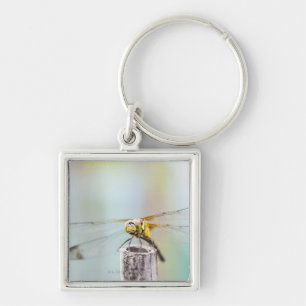 Dragonfly (Sympetrum infuscatum) 2 Keychain