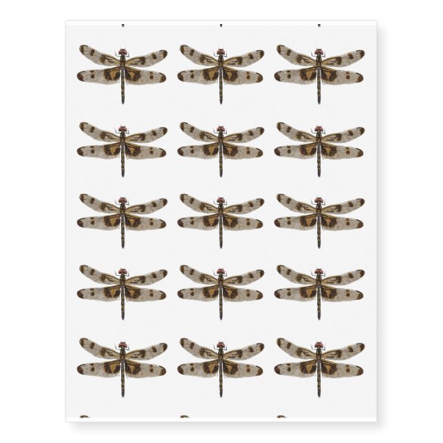 Dragonfly tattoos (Front)