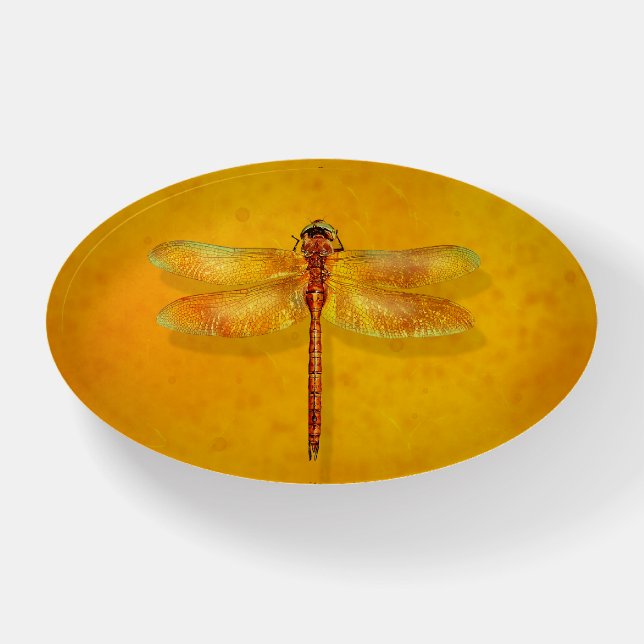 Dragonfly Trapped in Amber Sap Fossil Replica Paperweight (Front)