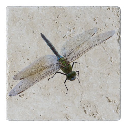 Dragonfly Trivet