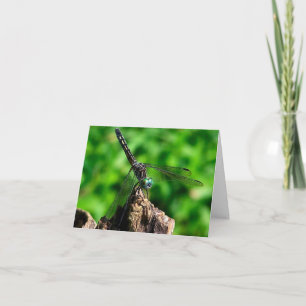 Dragonfly Up Close Nature Photography  Note Card