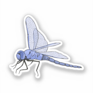 Dragonfly vector illustration sticker