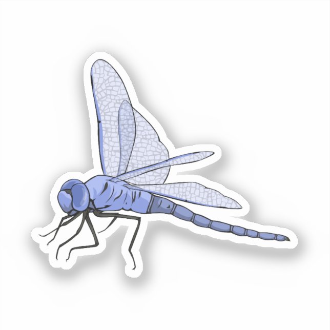 Dragonfly vector illustration sticker (Front)