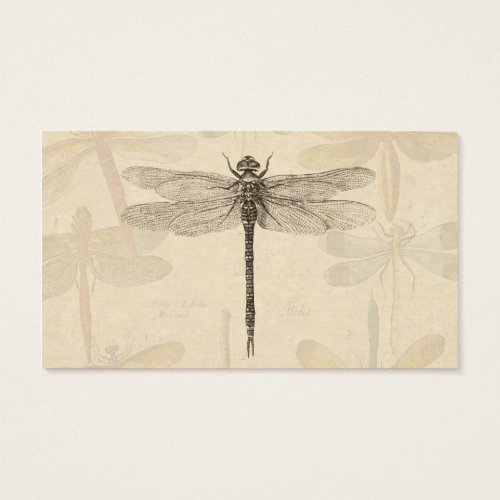 Vintage dragonfly drawing business card template