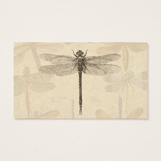Customizable Vintage dragonfly drawing business card template