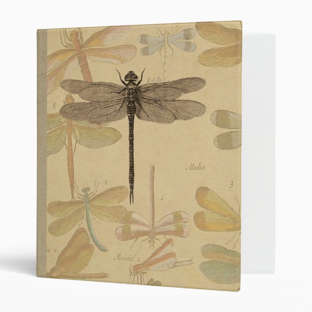 Dragonfly Vintage Antique Classic Nature Binder (Front/Inside)