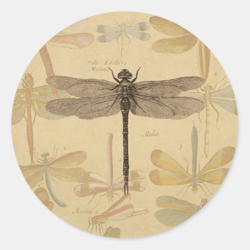 Dragonfly Vintage Antique Classic Nature Classic Round Sticker