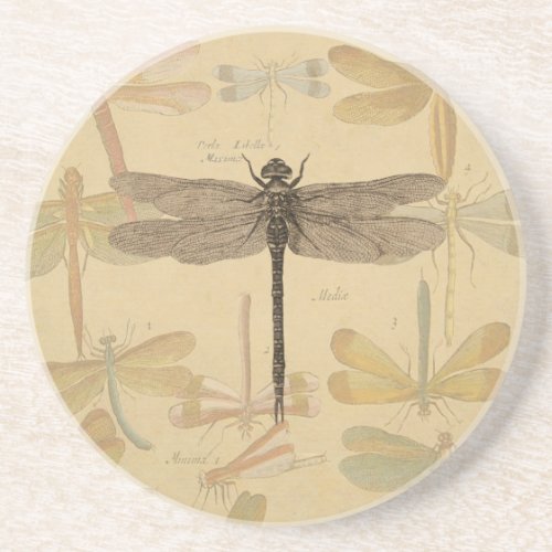 Dragonfly Vintage Antique Classic Nature Coaster