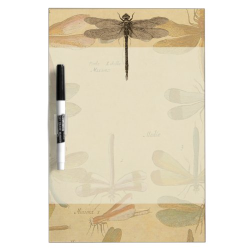 Dragonfly Vintage Antique Classic Nature Dry_Erase Board