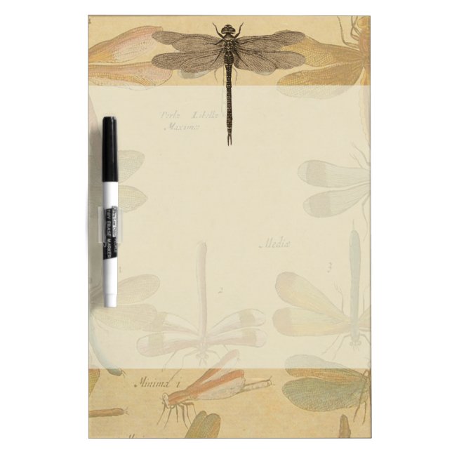 Dragonfly Vintage Antique Classic Nature Dry-Erase Board (Front)